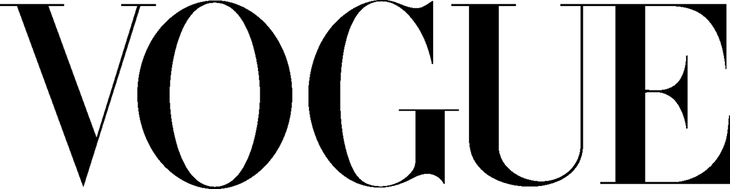 Times of India Logo